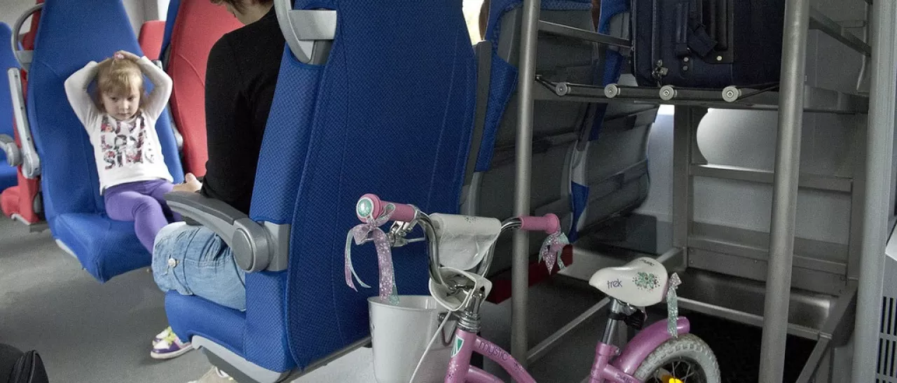 Правила перевозки багажа ж/д транспортом: ручная кладь, спортивный и туристический инвентарь, запрещенные к перевозке вещи, груз без сопровождения